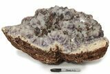 Wide Spectacular Amethyst Geode From Madagascar #230292-1